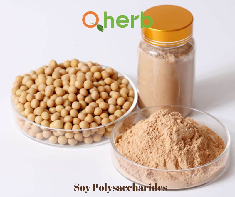 Soy Polysaccharides